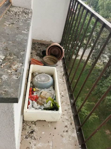 Balkon przed czyszczeniem
